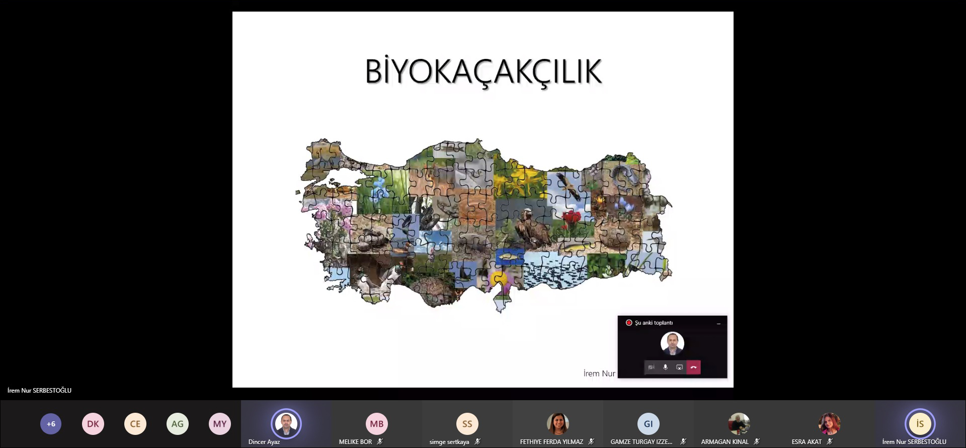 Zengin endemik çeşitlilik Türkiye’yi biyokaçakçılıkta hedef haline getiriyor