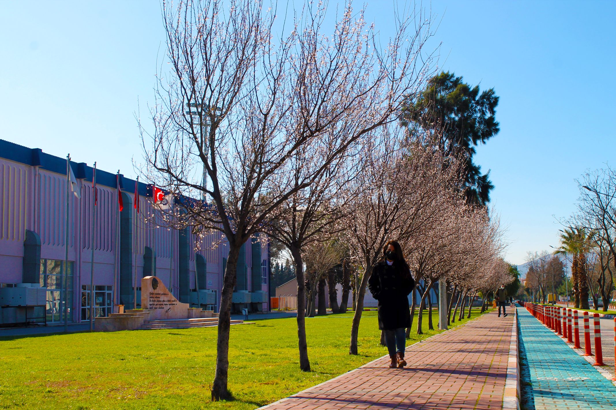 EÜ kampüsünde açan “Süs Eriği” ağaçları kartpostallık görüntüler oluşturdu