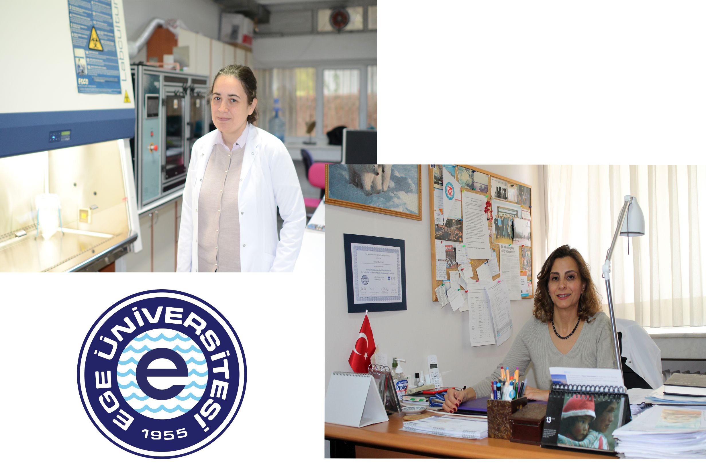 Desteklenen 11 projeden ikisi Ege’den çıktı