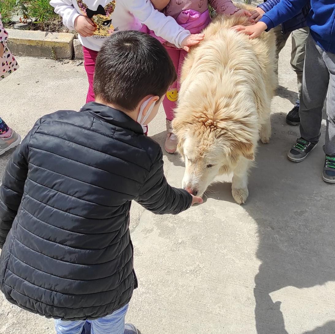 “Minik Kalplerden Bir Avuç Mama”